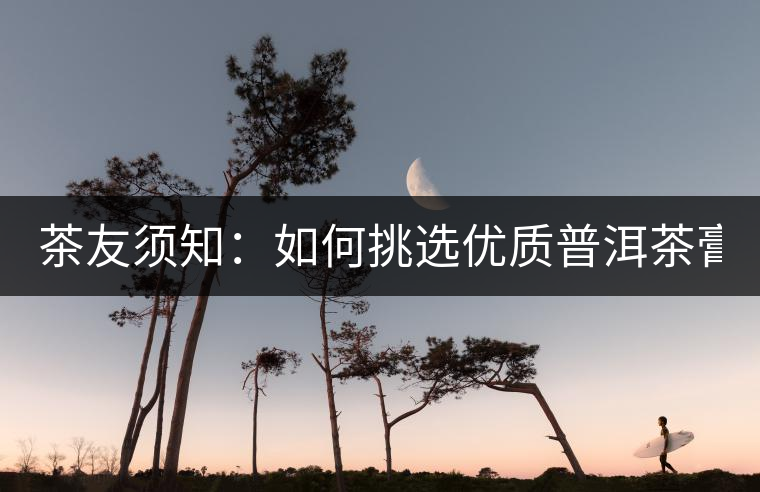 茶友須知：如何挑選優(yōu)質(zhì)普洱茶膏？