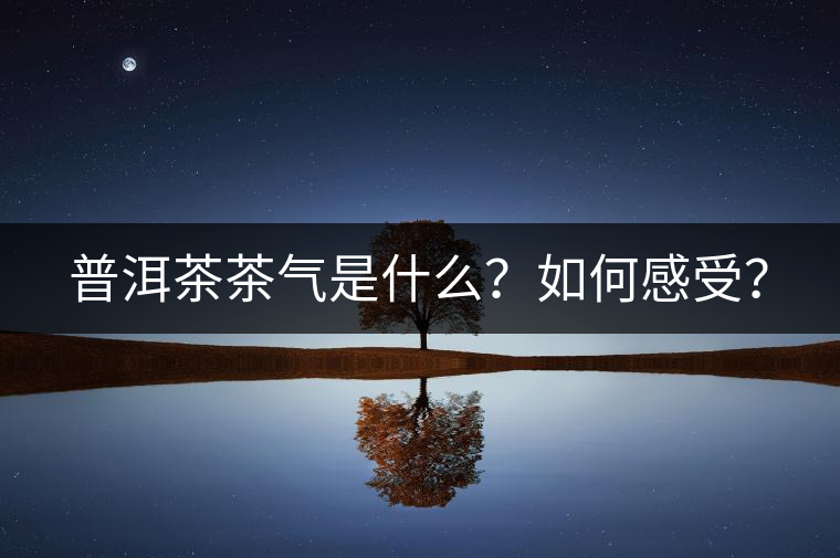 普洱茶茶氣是什么？如何感受？