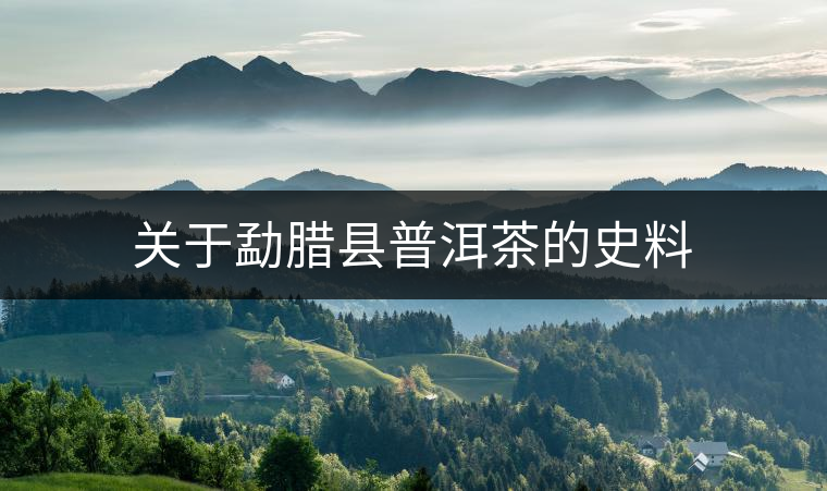 關(guān)于勐臘縣普洱茶的史料