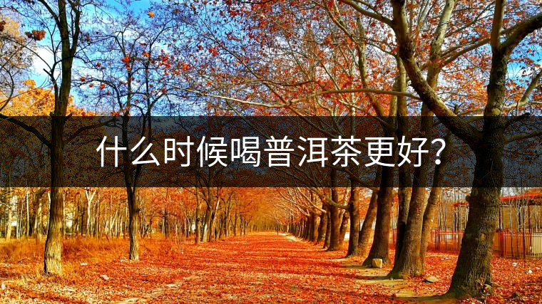 什么時候喝普洱茶更好？