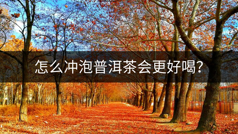 怎么沖泡普洱茶會更好喝？