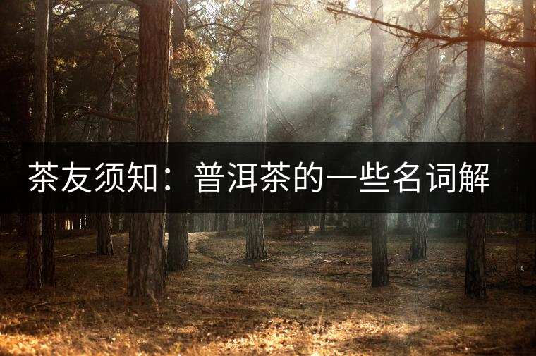 茶友須知:普洱茶的一些名詞解釋 茶友須知:普洱茶的一些名詞解釋