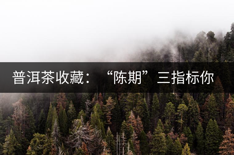 普洱茶收藏：“陳期”三指標(biāo)你知道嗎？