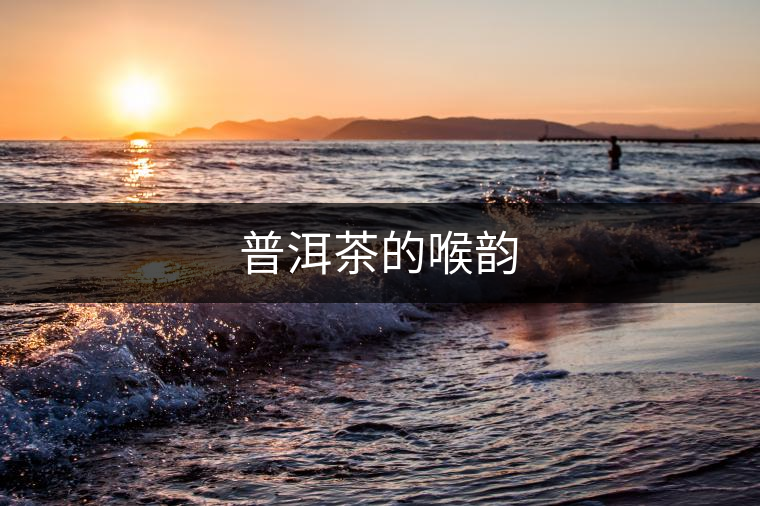 普洱茶的喉韻 普洱茶的喉韻