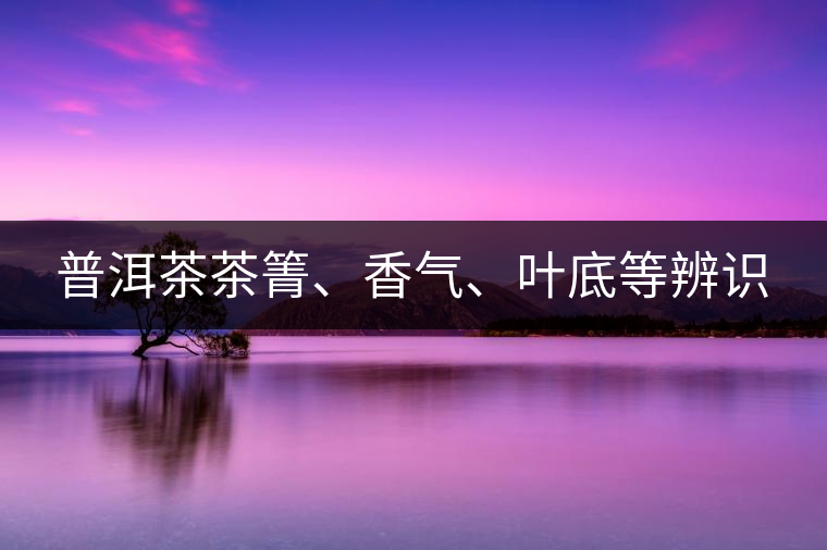 普洱茶茶箐、香氣、葉底等辨識