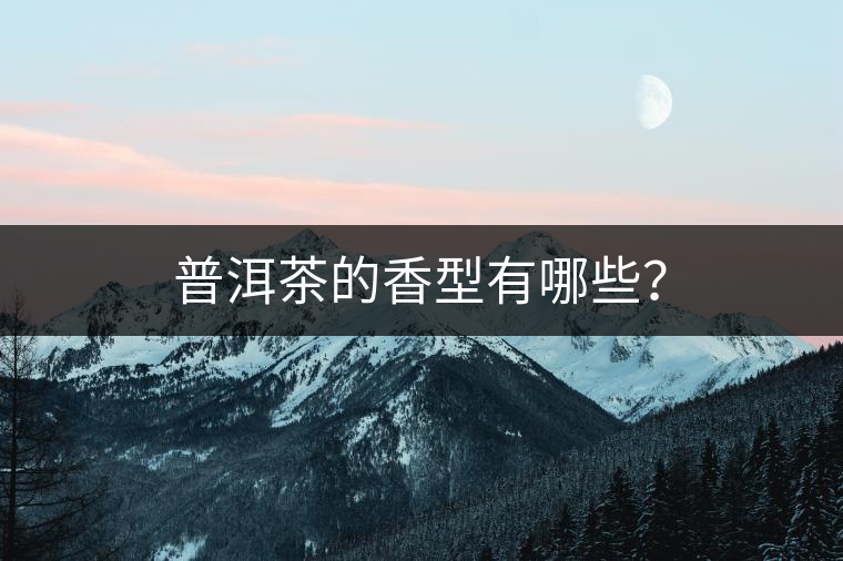 普洱茶的香型有哪些？