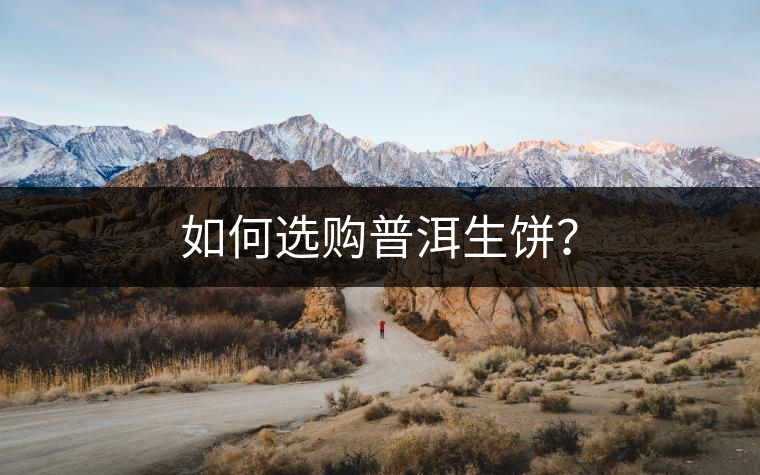 如何選購(gòu)普洱生餅? 如何選購(gòu)普洱生餅?