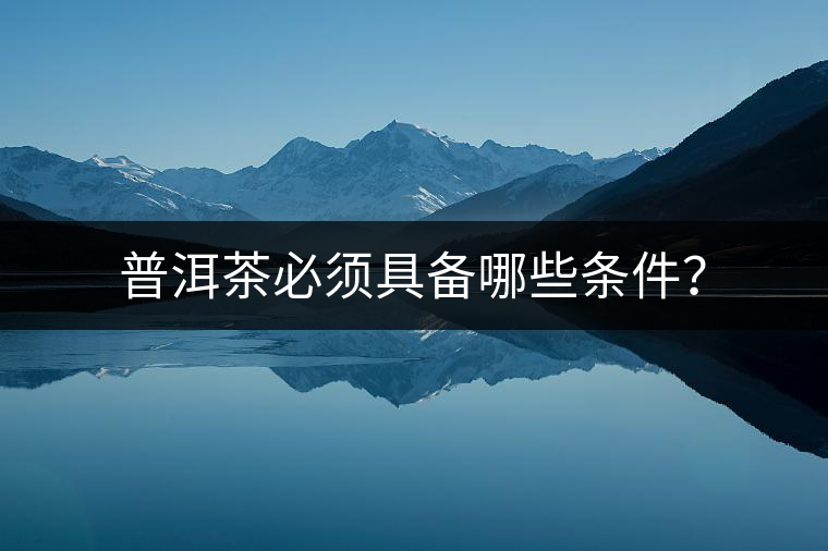 普洱茶必須具備哪些條件？