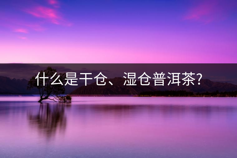什么是干倉、濕倉普洱茶?
