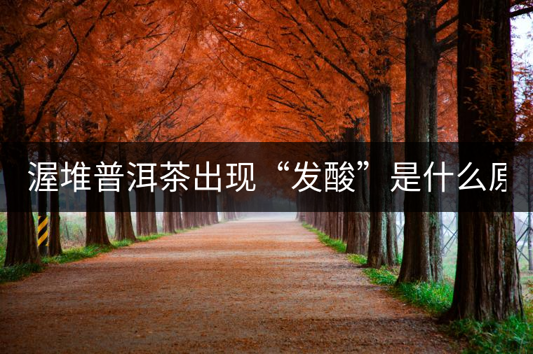 渥堆普洱茶出現(xiàn)“發(fā)酸”是什么原因？