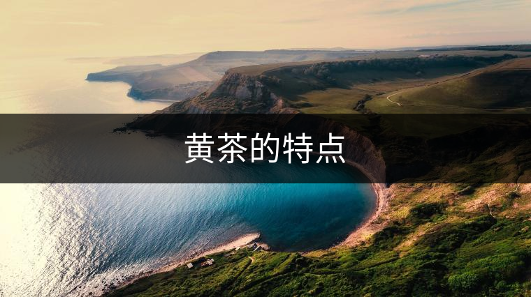 黃茶的特點(diǎn)