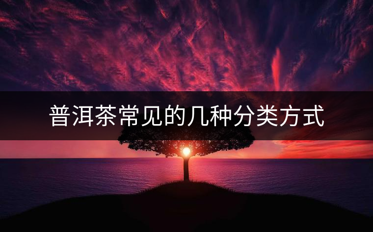 普洱茶常見(jiàn)的幾種分類(lèi)方式