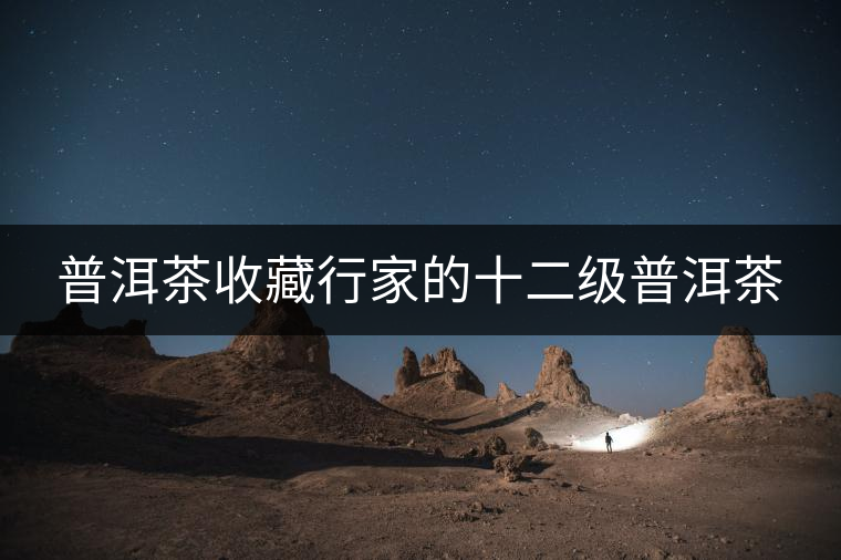 普洱茶收藏行家的十二級普洱茶 普洱茶收藏行家的十二級普洱茶