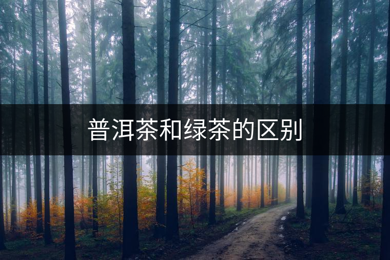 普洱茶和綠茶的區(qū)別