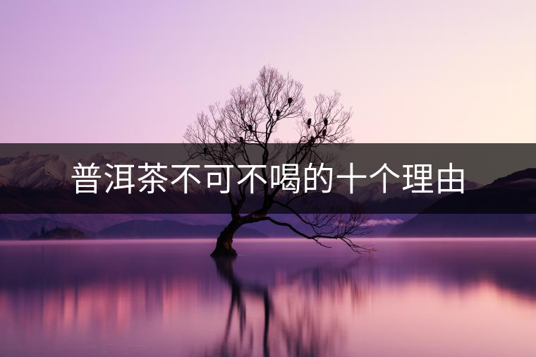 普洱茶不可不喝的十個(gè)理由