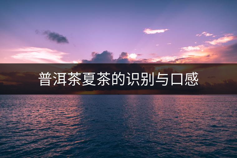 普洱茶夏茶的識別與口感 普洱茶夏茶的識別與口感