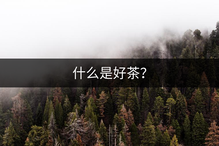 什么是好茶？