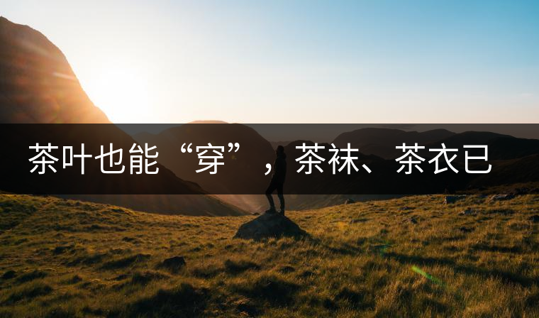 茶葉也能“穿”，茶襪、茶衣已進(jìn)入研發(fā)階段