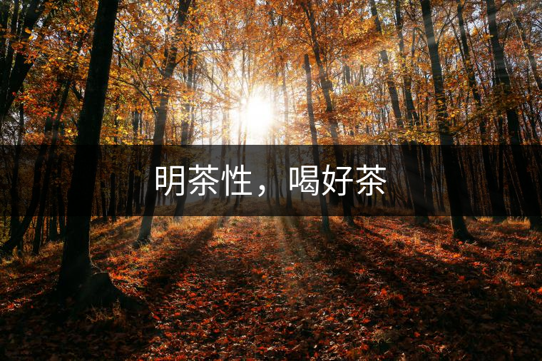 明茶性，喝好茶