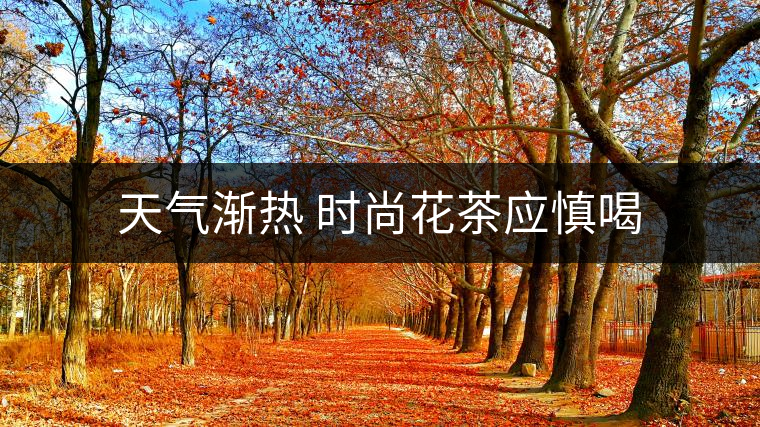 天氣漸熱 時尚花茶應(yīng)慎喝