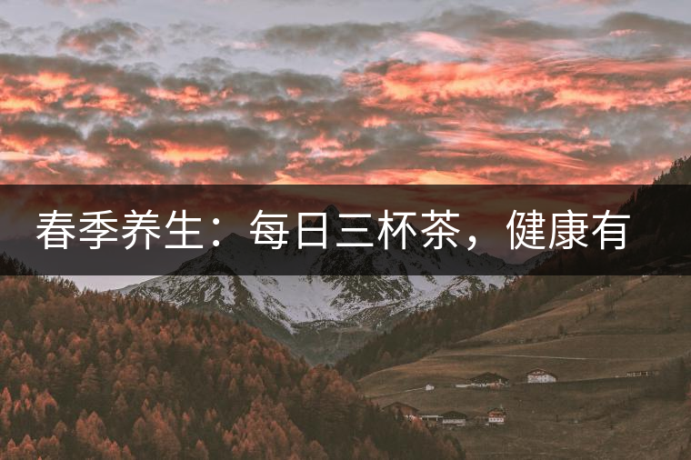 春季養(yǎng)生：每日三杯茶，健康有保障