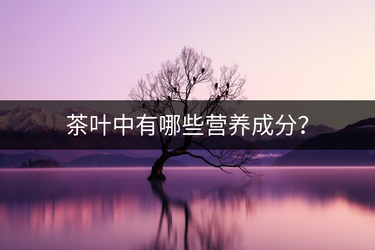 茶葉中有哪些營(yíng)養(yǎng)成分？