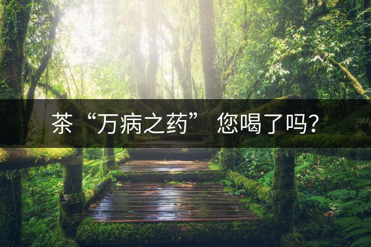 茶“萬病之藥” 您喝了嗎？