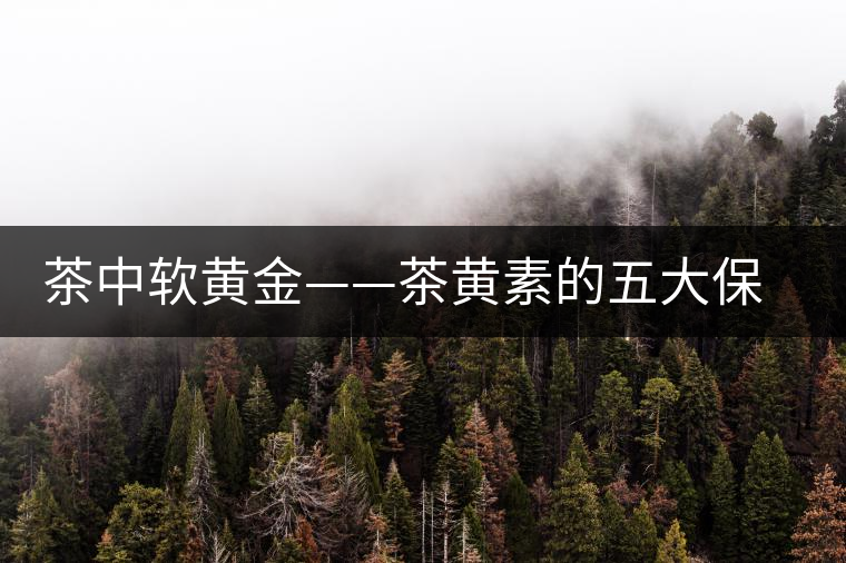 茶中軟黃金——茶黃素的五大保健作用及其機(jī)理