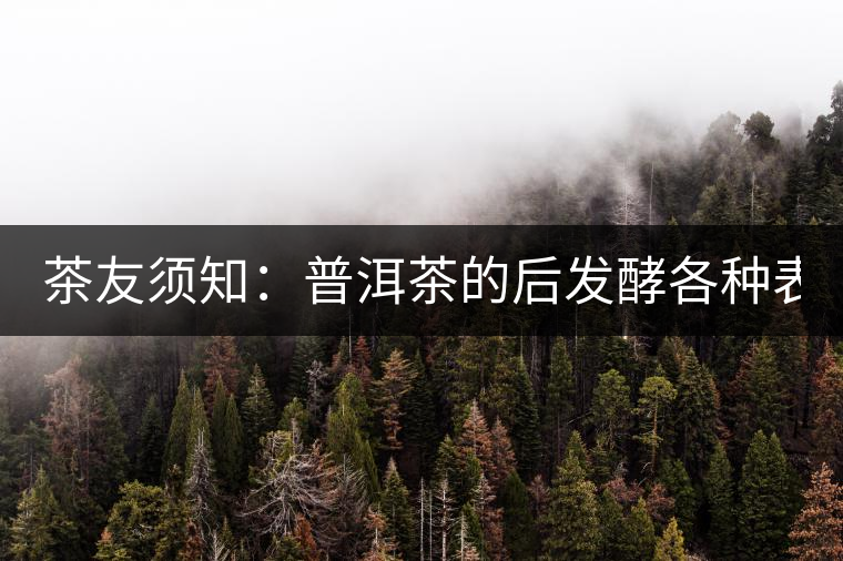 茶友須知：普洱茶的后發(fā)酵各種表現(xiàn) 喝普洱有益健康的奧妙所在！