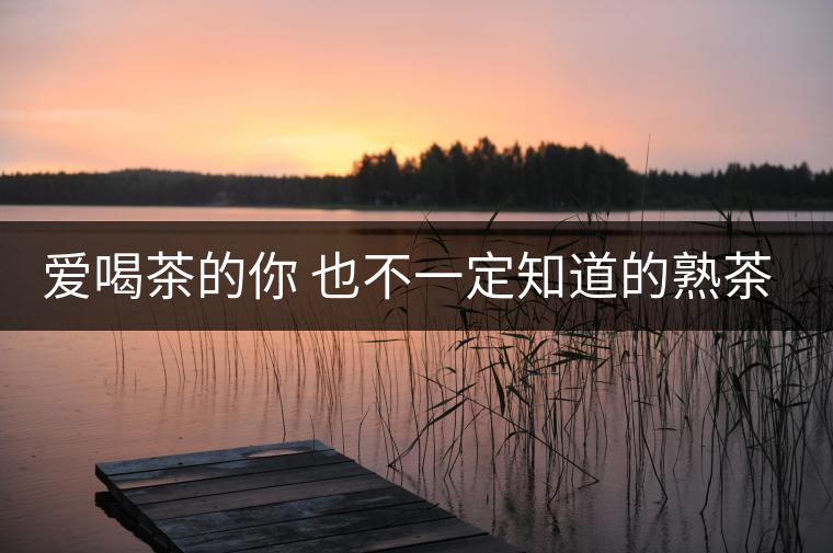 愛喝茶的你 也不一定知道的熟茶知識！