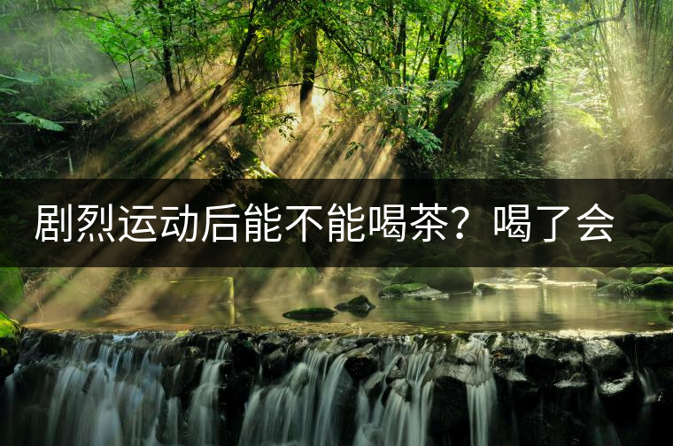 劇烈運(yùn)動后能不能喝茶？喝了會有什么不適？