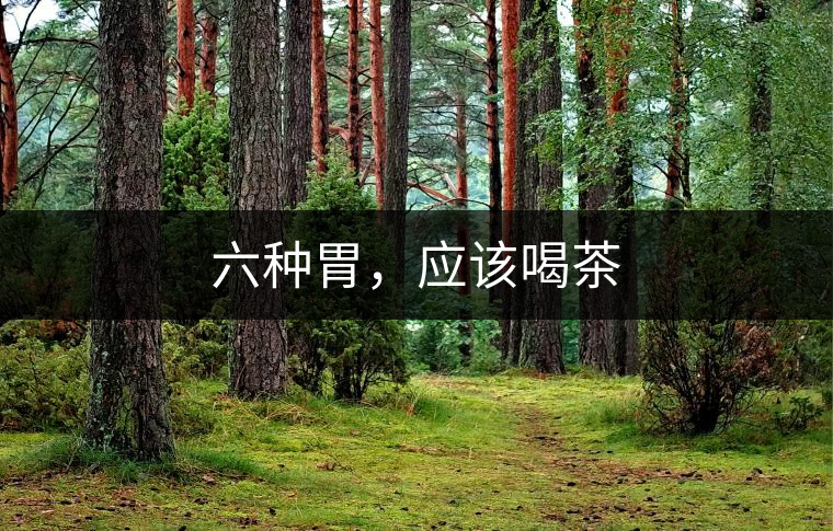 六種胃，應(yīng)該喝茶