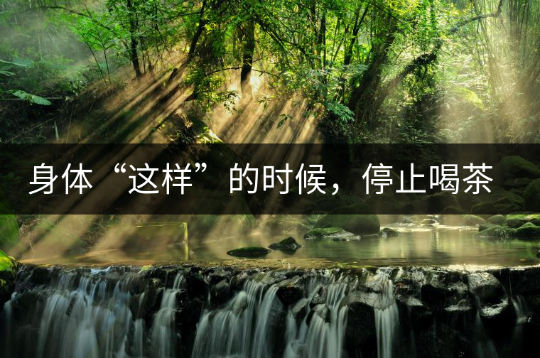 身體“這樣”的時候，停止喝茶！當(dāng)心好茶變“毒藥”！