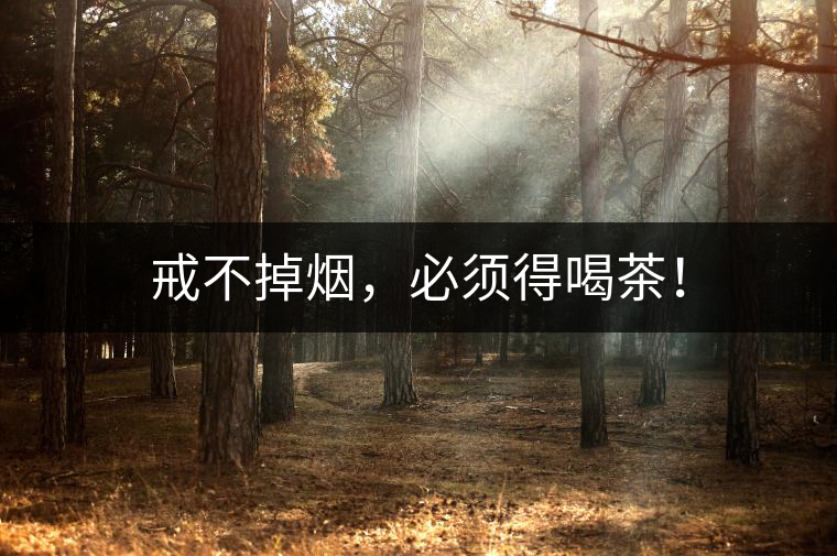 戒不掉煙，必須得喝茶！