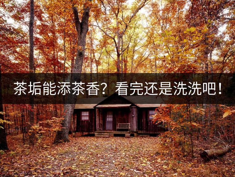 茶垢能添茶香？看完還是洗洗吧！