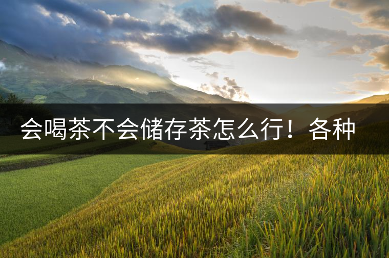 會喝茶不會儲存茶怎么行！各種存茶方法與技巧，把茶香留住