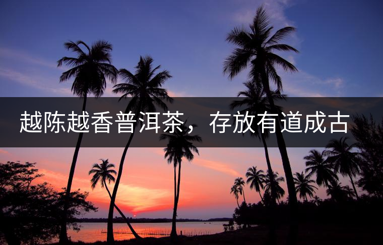 越陳越香普洱茶，存放有道成古董