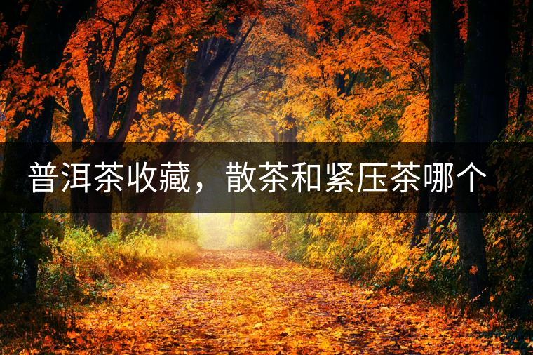 普洱茶收藏，散茶和緊壓茶哪個(gè)更好？