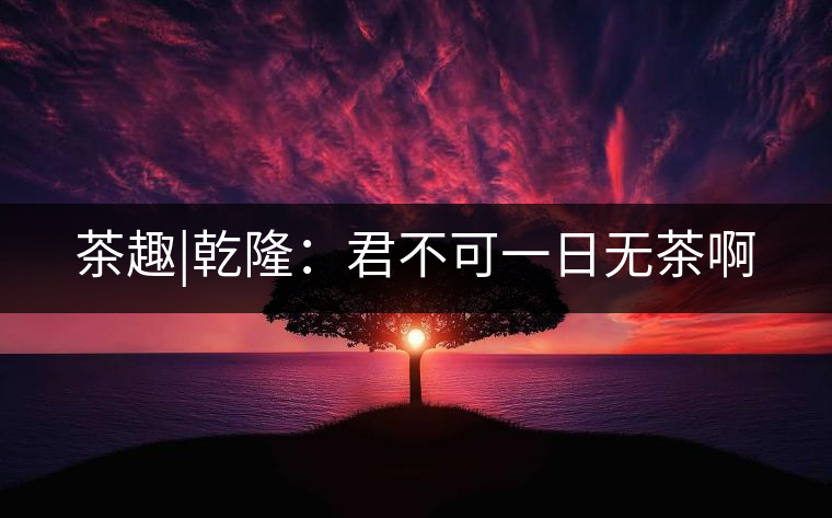 茶趣|乾?。壕豢梢蝗諢o茶啊