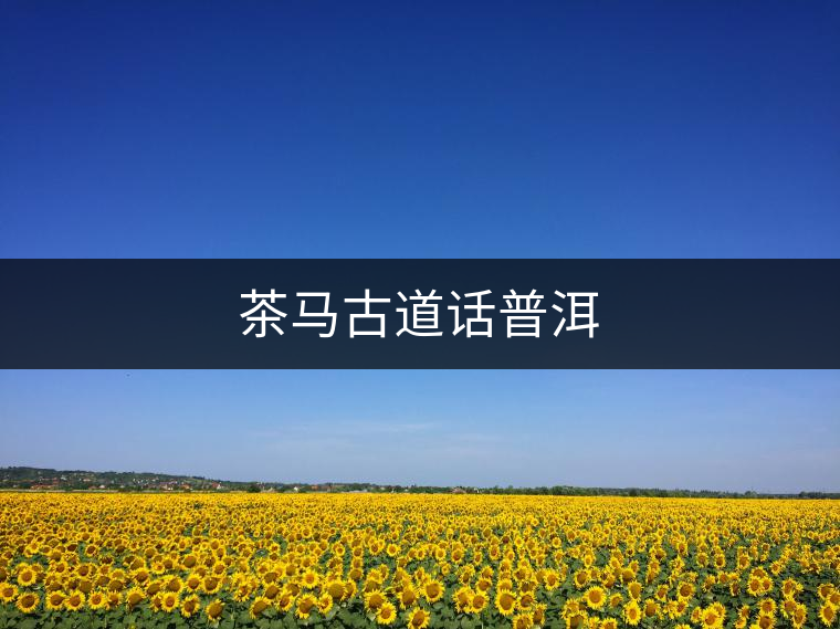 茶馬古道話普洱