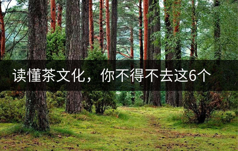讀懂茶文化，你不得不去這6個(gè)城市