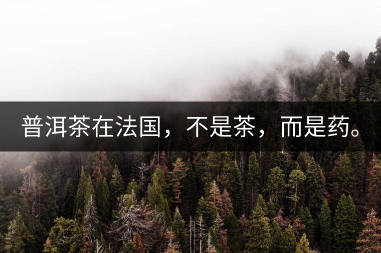 普洱茶在法國，不是茶，而是藥。