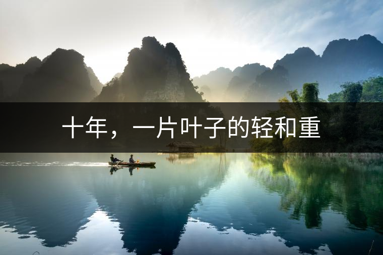 十年，一片葉子的輕和重
