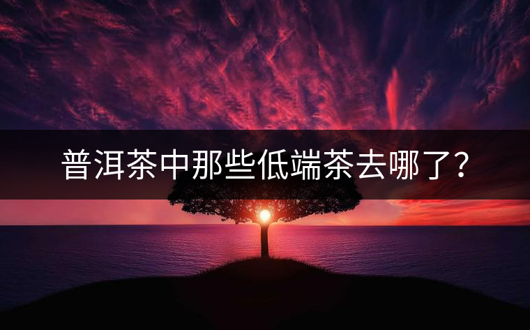 普洱茶中那些低端茶去哪了？
