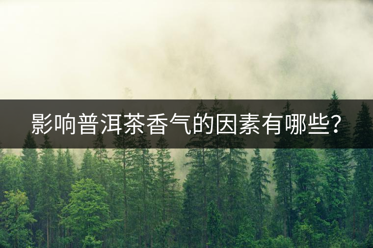 影響普洱茶香氣的因素有哪些？