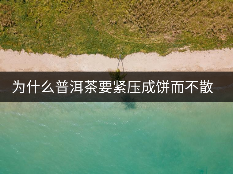 為什么普洱茶要緊壓成餅而不散存呢？