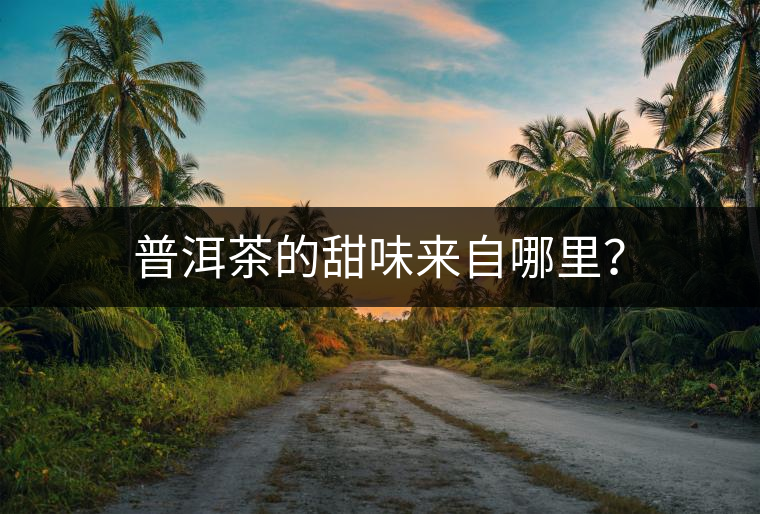 普洱茶的甜味來(lái)自哪里？