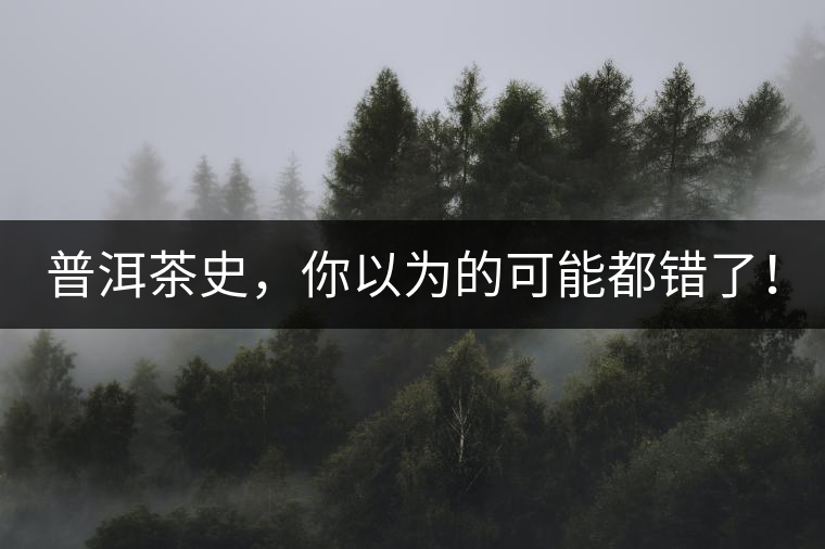 普洱茶史，你以為的可能都錯(cuò)了！