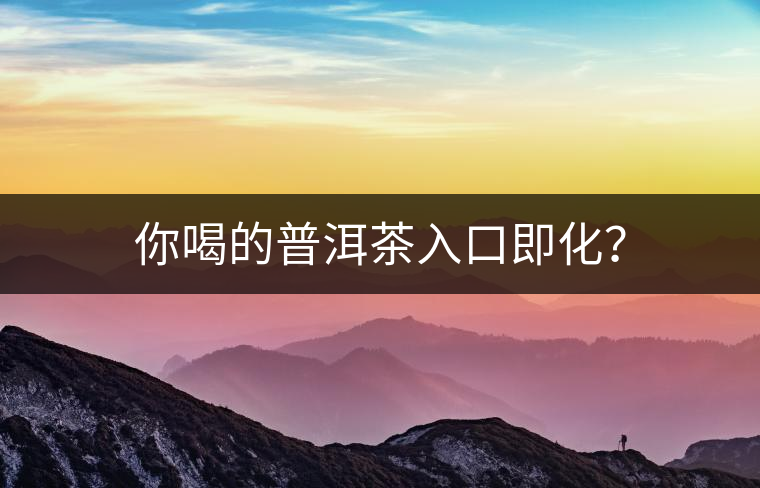 你喝的普洱茶入口即化？