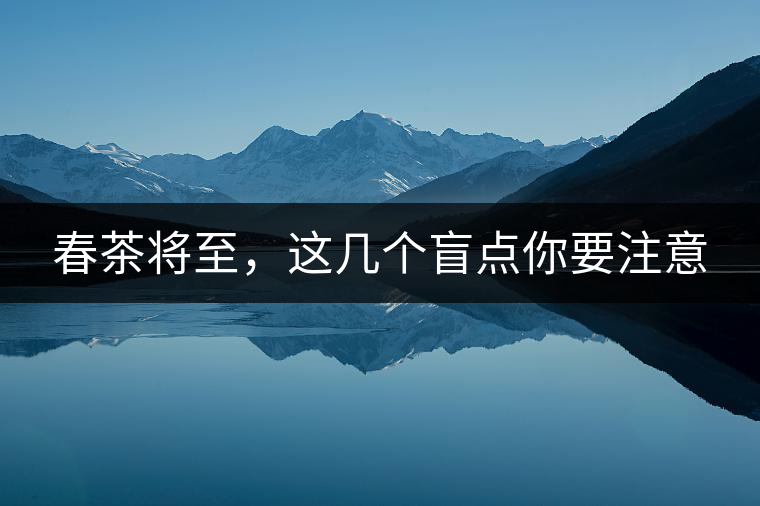 春茶將至，這幾個盲點你要注意